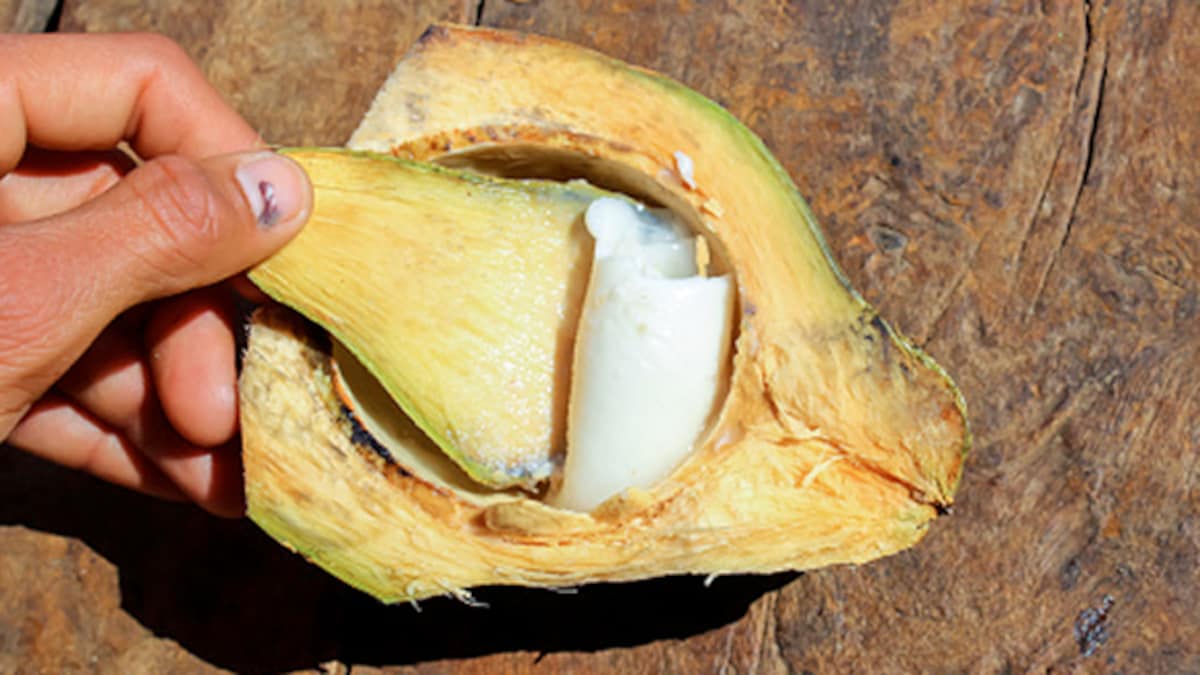 Healthy Coconut Meat In Your Diet